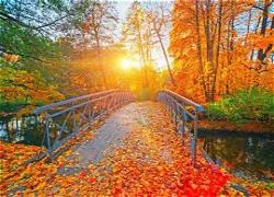 colori d'autunno nell'Oasi Zegna